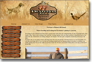 website design